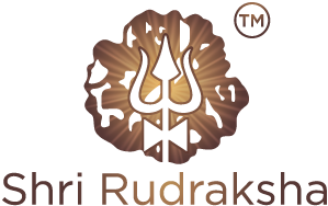 Shri Rudraksha