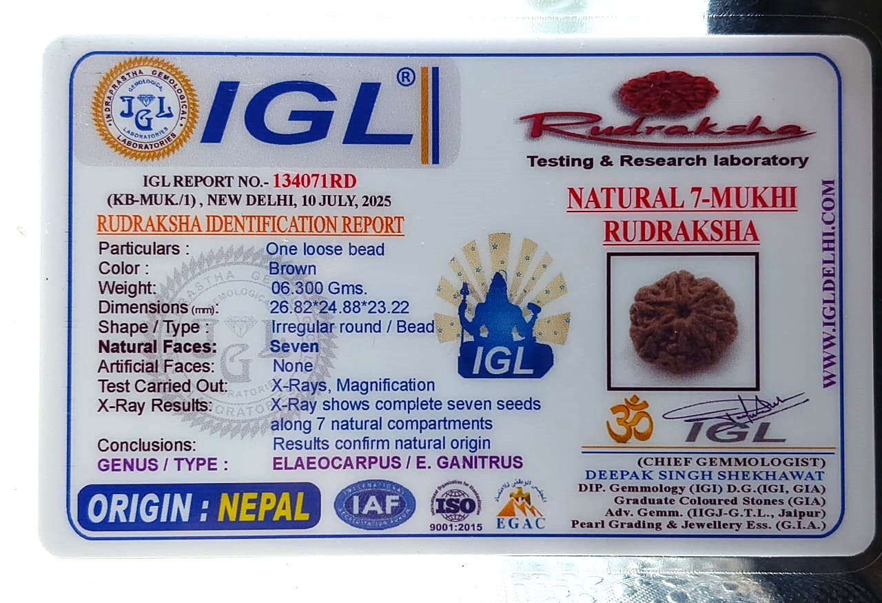 7Mukhi Nepali IGL labCertified With XRay(Size-26.82mm)