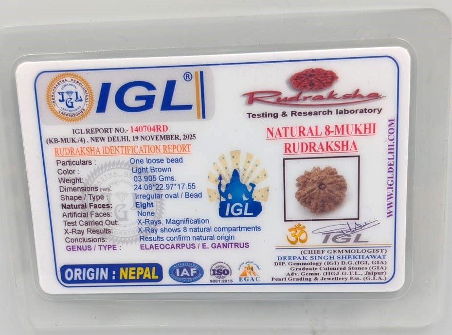 8 Mukhi Nepali(Size-24.08mm)